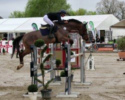 jumper Commano (Westphalian, 2012, from Comme il Faut)