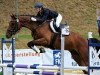 jumper Wiesenguts Schoko (German Sport Horse, 2012, from Stalypso)