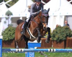 jumper Queen Lady Z (Zangersheide riding horse, 2002, from Quinar)