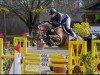Springpferd Orlanda 40 (Oldenburger Springpferd, 2017, von Ogano)