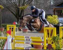 jumper Orlanda 40 (Oldenburg show jumper, 2017, from Ogano)