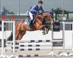 jumper Delovien (Oldenburg, 2021, from Douglas)