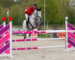 jumper Doon Laddie (Connemara Pony, 2004, from Silver Shadow 6)