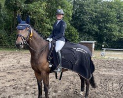 Dressurpferd Dolce Floriana (Hannoveraner, 2018, von Don Royal)