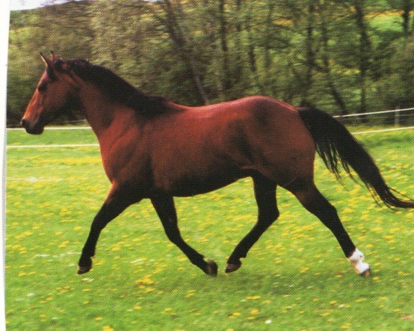 horse Peppy Lina Badger (Quarter Horse, 1992, from Peppy San Badger)