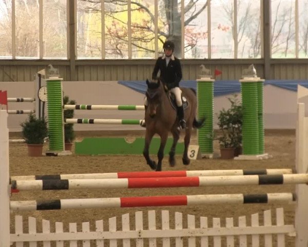 Hallen-Springturnier Greven 2014