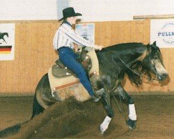Deckhengst Navajo Jacs Image (Quarter Horse, 1992, von Boggies Flashy Jac)