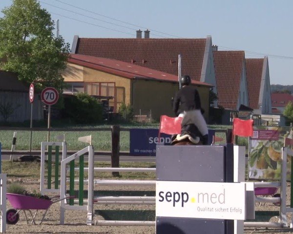 Reitturnier Poxdorf/Ofr 2025