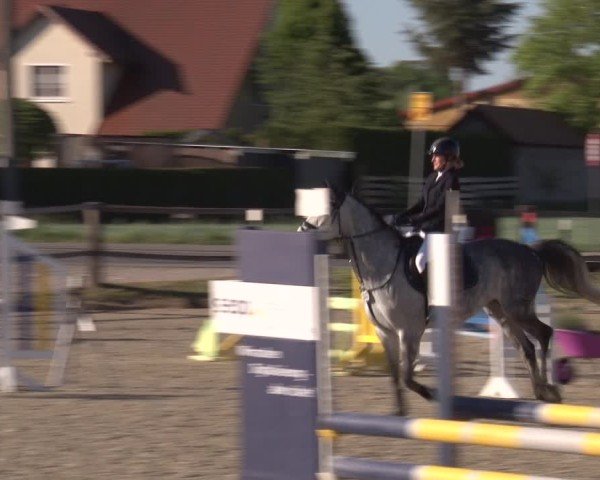 Reitturnier Poxdorf/Ofr 2025