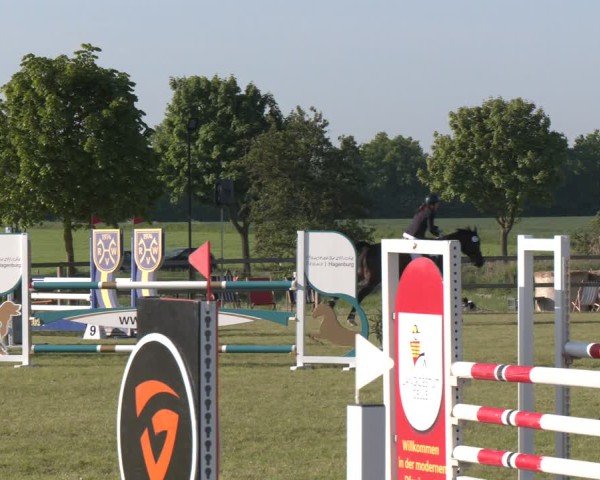 Reitturnier Wilkenburg 2025