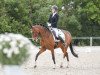 dressage horse Mr. Bubble Sg (German Riding Pony, 2011, from Miraculix)