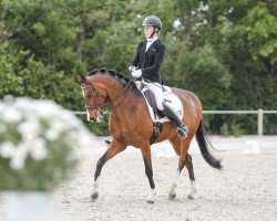 dressage horse Mr. Bubble Sg (German Riding Pony, 2011, from Miraculix)