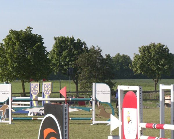 Reitturnier Wilkenburg 2025