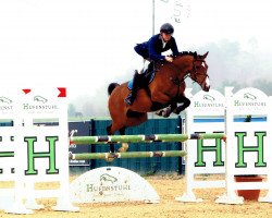 broodmare Carlotta (Oldenburg show jumper, 2015, from Cayetano L)