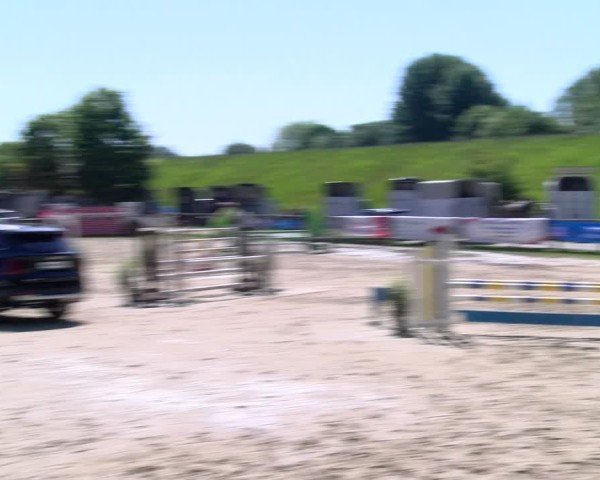 Reitturnier Dorsten 2025