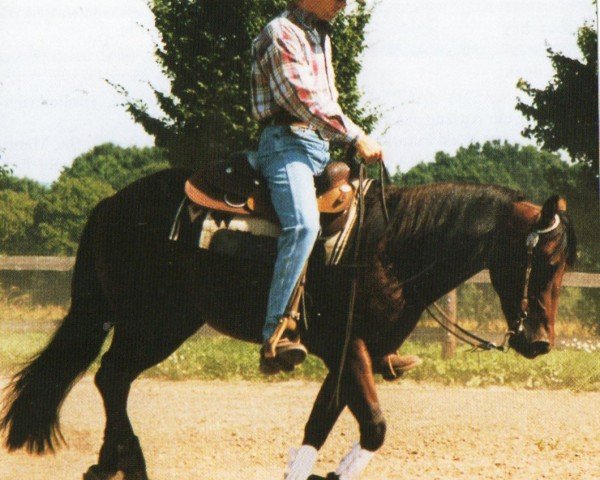 horse Proud N Smart (Quarter Horse, 1998, from Smartin Off)