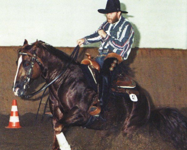 horse Playboy BH (Quarter Horse, 1991, from Be Aech Enterprise)