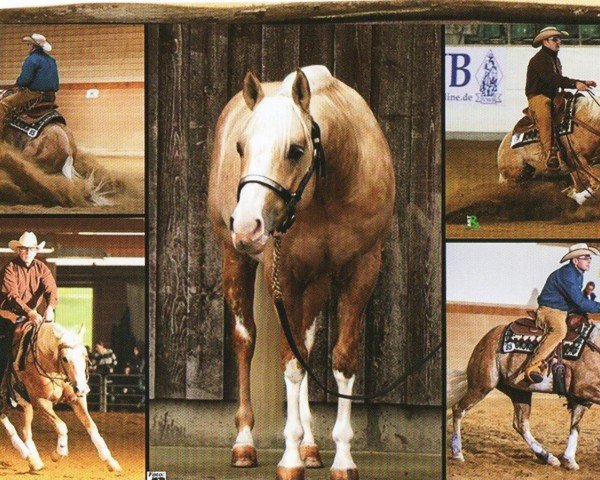 Pferd Big Chex On The Cash (Quarter Horse, 2009, von Big Chex To Cash)
