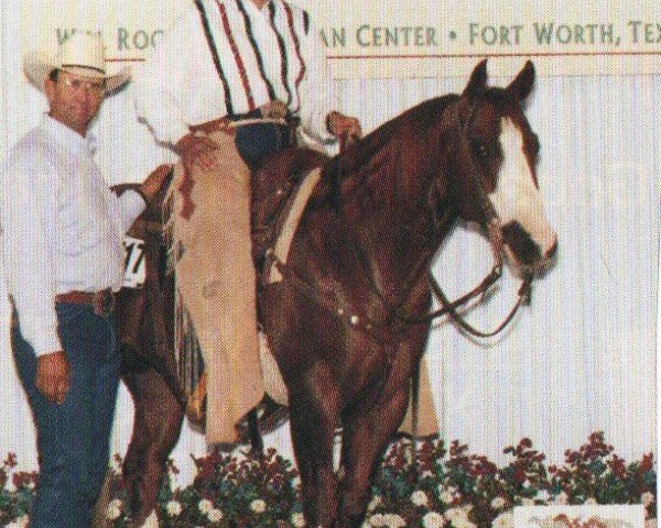 horse Dual Intent (Quarter Horse,  , from Dual Pep)