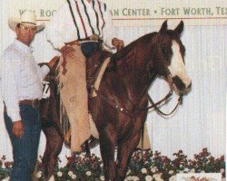 Pferd Dual Intent (Quarter Horse,  , von Dual Pep)
