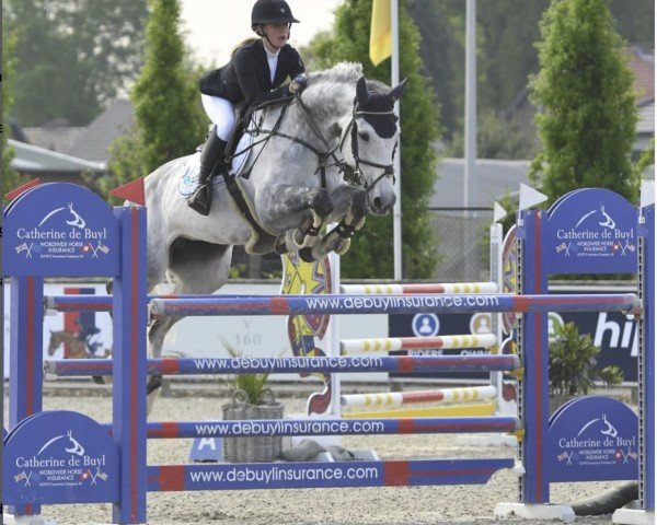 Springpferd Magnolia van 't Dauwhof (Belgisches Warmblut, 2012, von Galisco van Paemel)