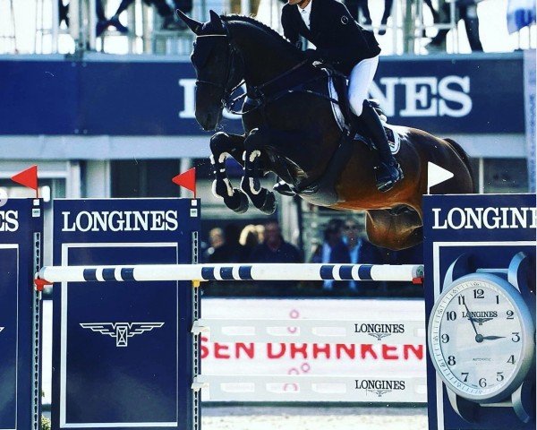 jumper Bajrang (Hanoverian, 2014, from Cador 5)