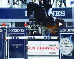 jumper Bajrang (Hanoverian, 2014, from Cador 5)