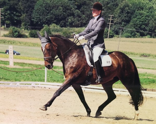 horse Prima Facie (Westphalian, 1992, from Playmate xx)