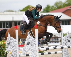 jumper Jessy's Boy (KWPN (Royal Dutch Sporthorse), 2014, from Cachas)