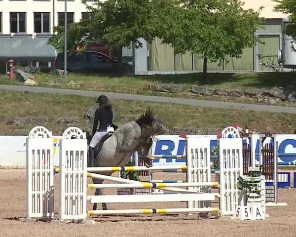 Reitturnier Kreuth/Opf. 2025