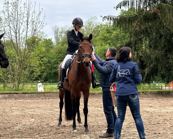 dressage horse Fidelitas 23 (Hanoverian, 2013, from For Romance I)