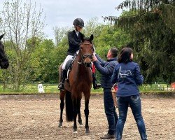 dressage horse Fidelitas 23 (Hanoverian, 2013, from For Romance I)