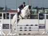 jumper Grafenstolz 3 (German Sport Horse, 2020, from Grey Top)