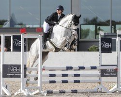 jumper Grafenstolz 3 (German Sport Horse, 2020, from Grey Top)
