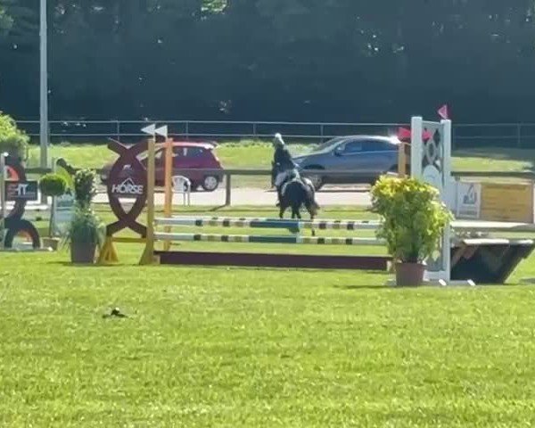 Video of Haywards Upper Class