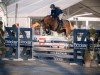 jumper Cascalou S (Oldenburg show jumper, 2018, from Cascadello)