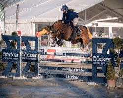 Springpferd Cascalou S (Oldenburger Springpferd, 2018, von Cascadello)