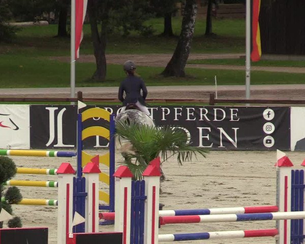 Reitturnier Westergellersen 2021