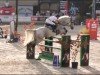 jumper Wicked Echo (Irish Sport Horse, 2011, from Fortunus)
