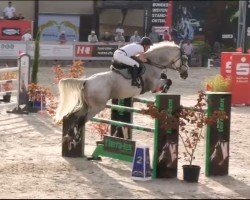 jumper Wicked Echo (Irish Sport Horse, 2011, from Fortunus)