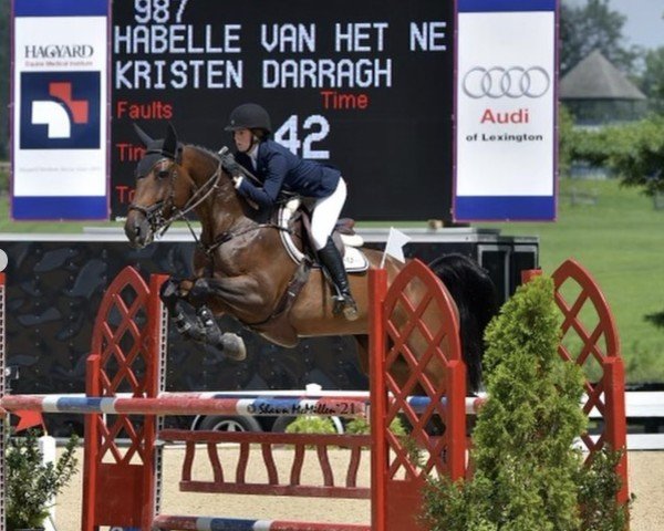 Springpferd Habelle van het Netehof (Belgisches Warmblut, 2007, von Darco)