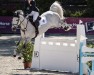 jumper One Saharah (anglo european sporthorse, 2015, from Daniel)