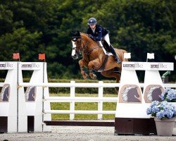 jumper Kunis (anglo european sporthorse, 2013, from Luidam)