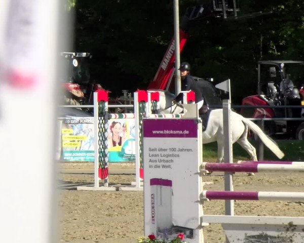 Reitturnier Winnenden 2025