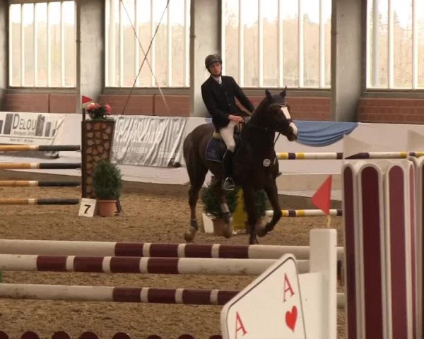 Hallen-Springturnier Greven 2014