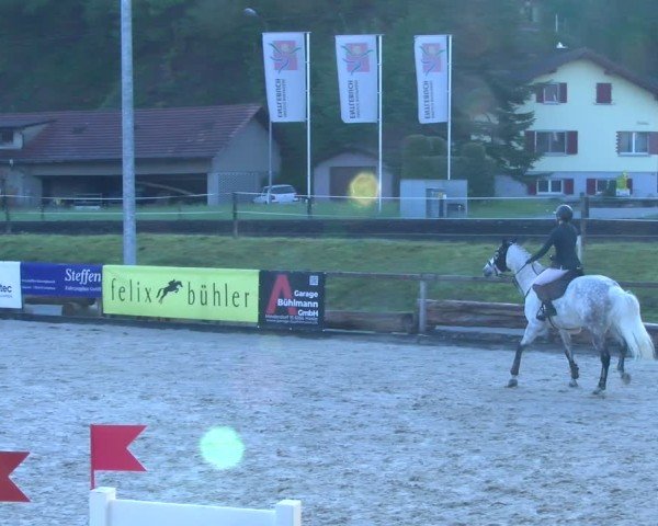 Reitturnier Schüpfheim 2025