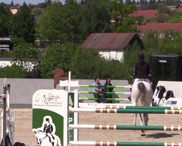 Reitturnier Zwickau 2025