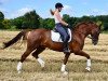 dressage horse Fidibus K (Westphalian, 2011, from Fürst Piccolo)