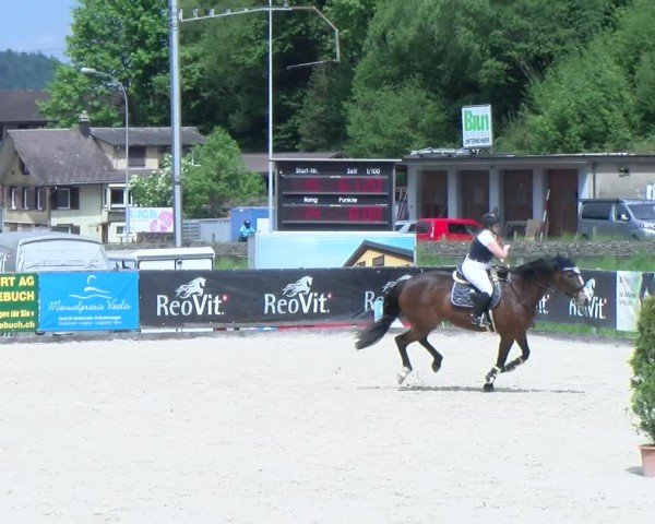 Reitturnier Schüpfheim 2025