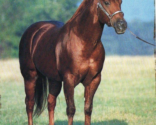 horse Julias Peppy (Quarter Horse, 1988, from Peppy San Badger)